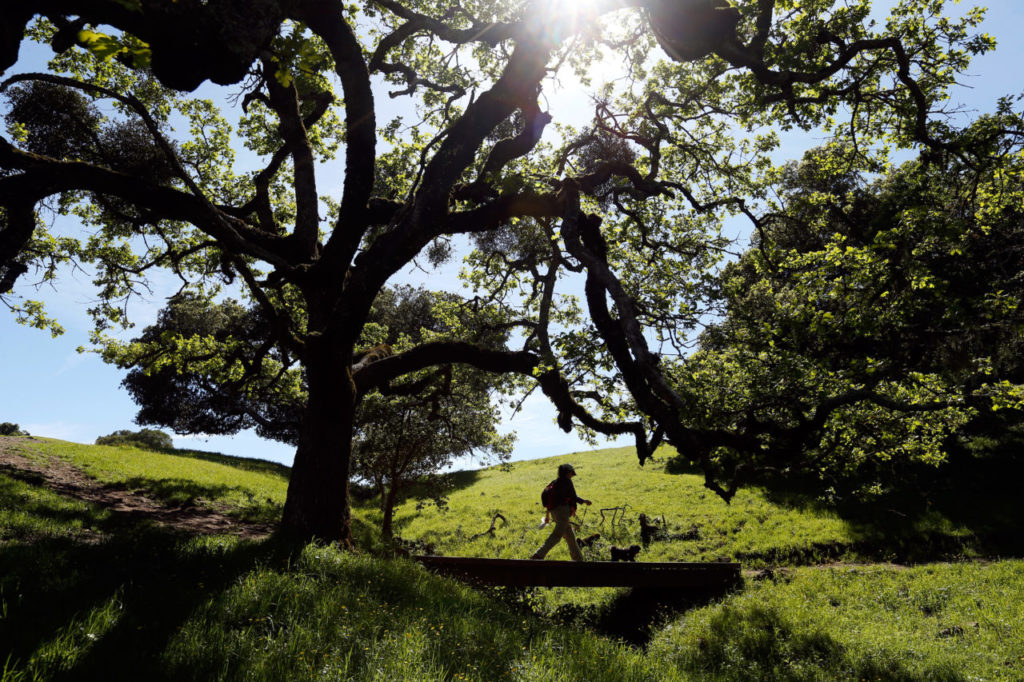 Peri Olsson of Santa Rosa takes her dog Teddy on a walk at Taylor Mountain Regional Park and Open Space Preserve in Santa Rosa, California on Wednesday, March 23, 2016. (Alvin Jornada / The Press Democrat)