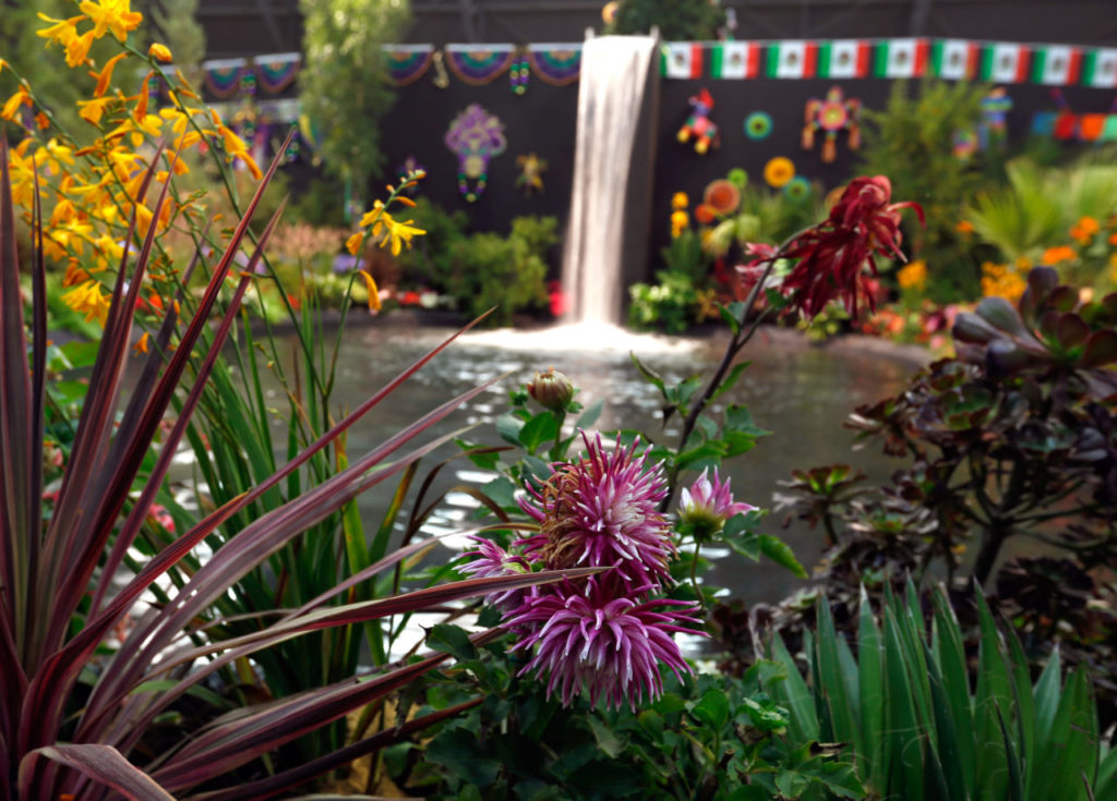 Hall of Flowers preview at the Sonoma County Fairgrounds in Santa Rosa, California on Wednesday, August 2, 2017. (Alvin Jornada / The Press Democrat)