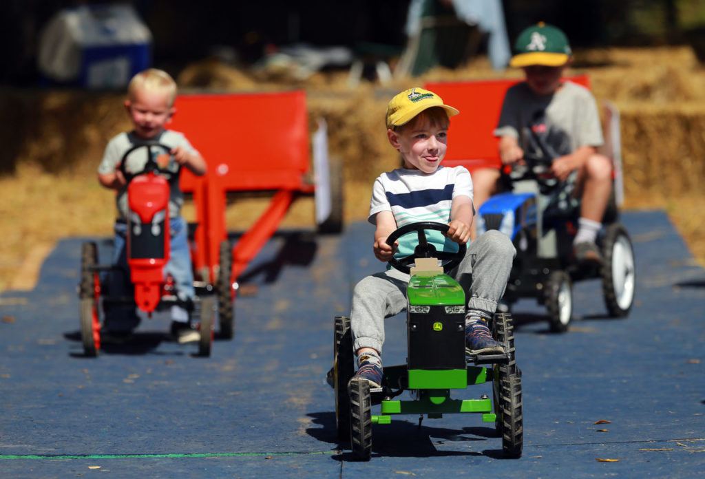Aides Leaute, 4, of San Francisco pulls in front in the junior tractor races at the Gravenstein Apple Fair at Sebastopol's Ragle Ranch Park. (photo by John Burgess/The Press Democrat)