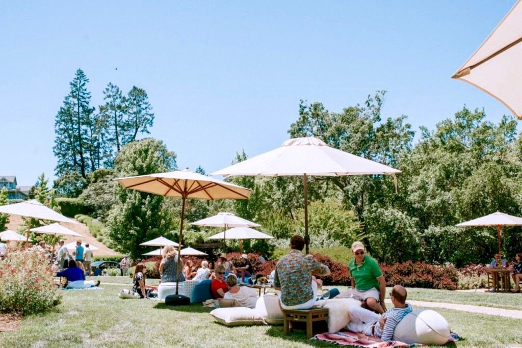 Best Sonoma Wineries to Visit This Summer