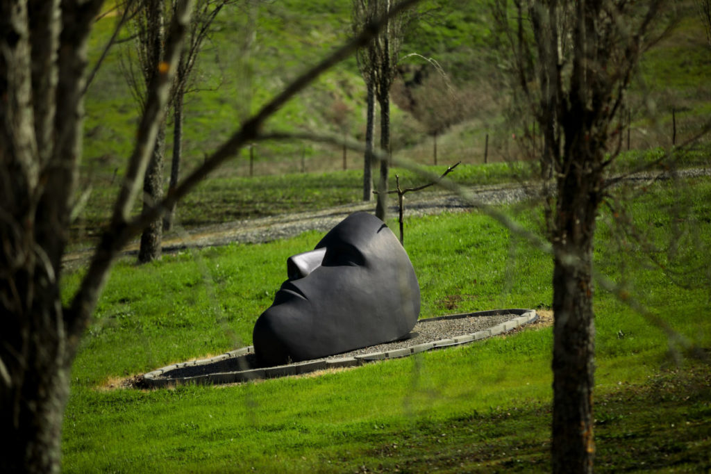 Ron Collins’ Petaluma art museum