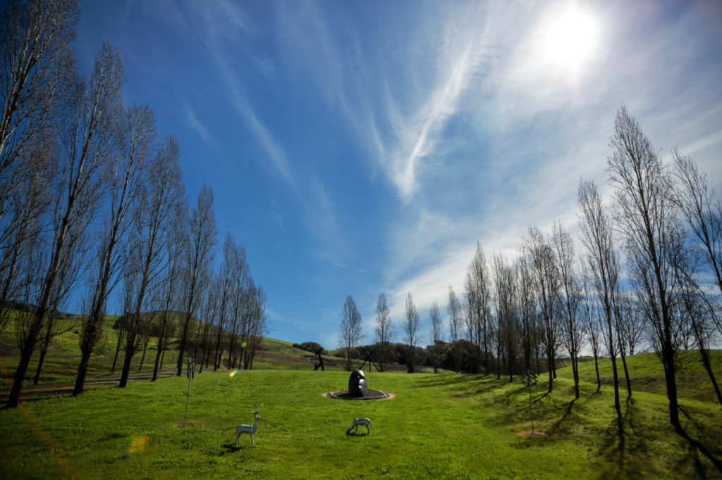 Ron Collins’ Petaluma art museum