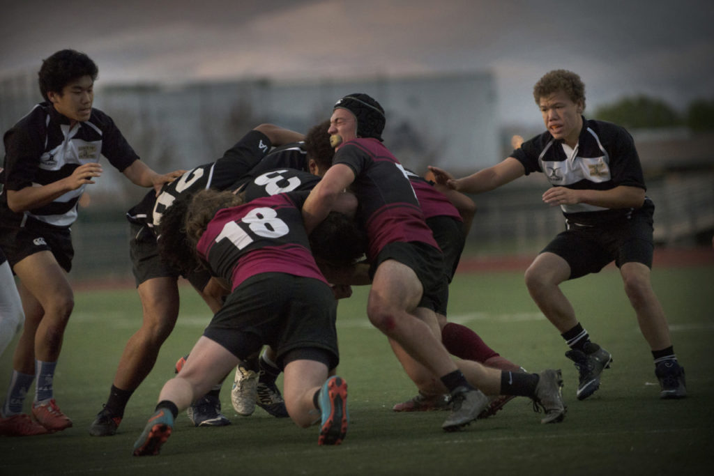 Lobo Rugby Club players during a game against Santa Rosa High held at Elsie Allen Friday evening. March 25, 2017. (Photo: Erik Castro/for The Press Democrat)