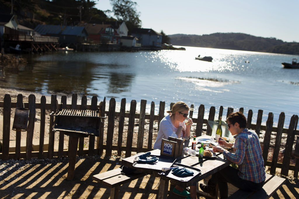 Breanna Kuhl, left, and Kieran Collins picnic at the Hog Island Farm and Oyster Bar picnic area. Shot on Friday November 22, 2013 at the Hog Island Oyster Company in Marshall, Calif. for Sonoma magazine. ( Photo by Charlie Gesell )