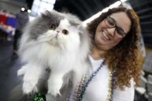 Michelle Miles holds her cat Eros during the cat show at the Grace Pavilion at the Sonoma County Fairgrounds in Santa Rosa, on Sunday, February 19, 2017. (BETH SCHLANKER/ The Press Democrat)