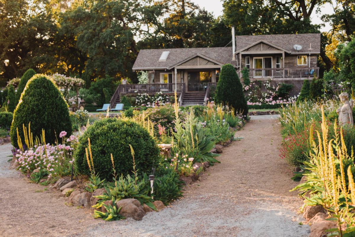 Early spring sunshine warms the front garden at Ron and Chris Mickelsen's weekend home in Glen Ellen. Chris, who owns a plant nursery with her husband, is fond of formal boxwood shapes and lush climbing roses. (Rebecca Gosselin)