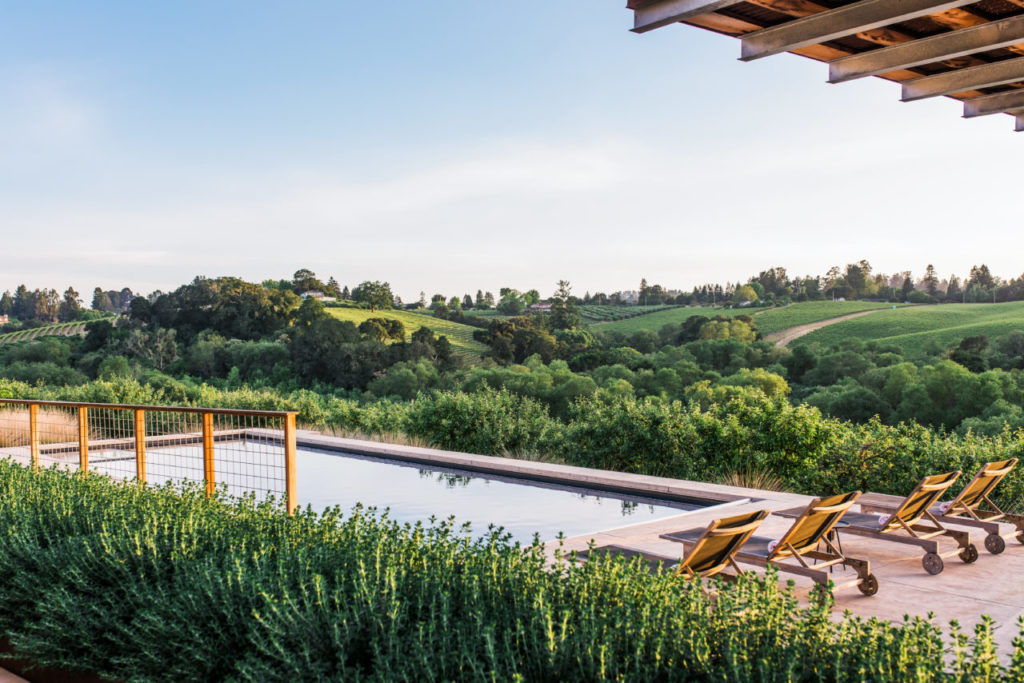 Bush Germander creates a gorgeous separation between the pool and home.