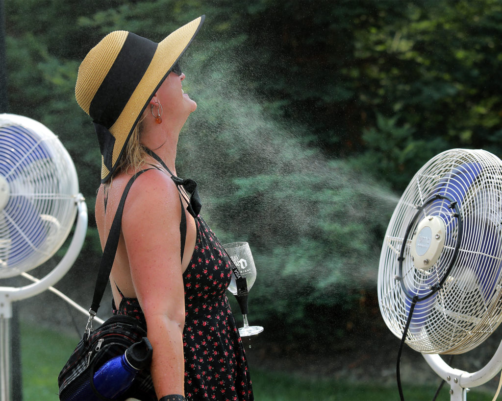 The Taste of Sonoma at the Green Music Center on the SSU campus on Saturday, September 2, 2107. (photo by John Burgess/The Press Democrat)
