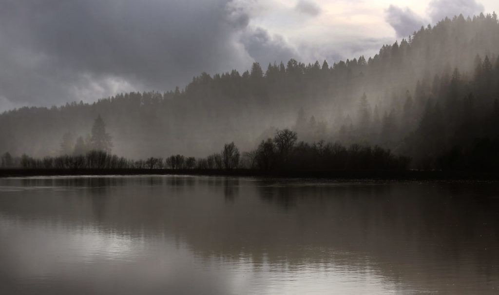 The vineyard at Korbel off River Road is no longer visible due to the rise of the Russian River, Wednesday Jan, 11, 2017. (Kent Porter / Press Democrat) 2017