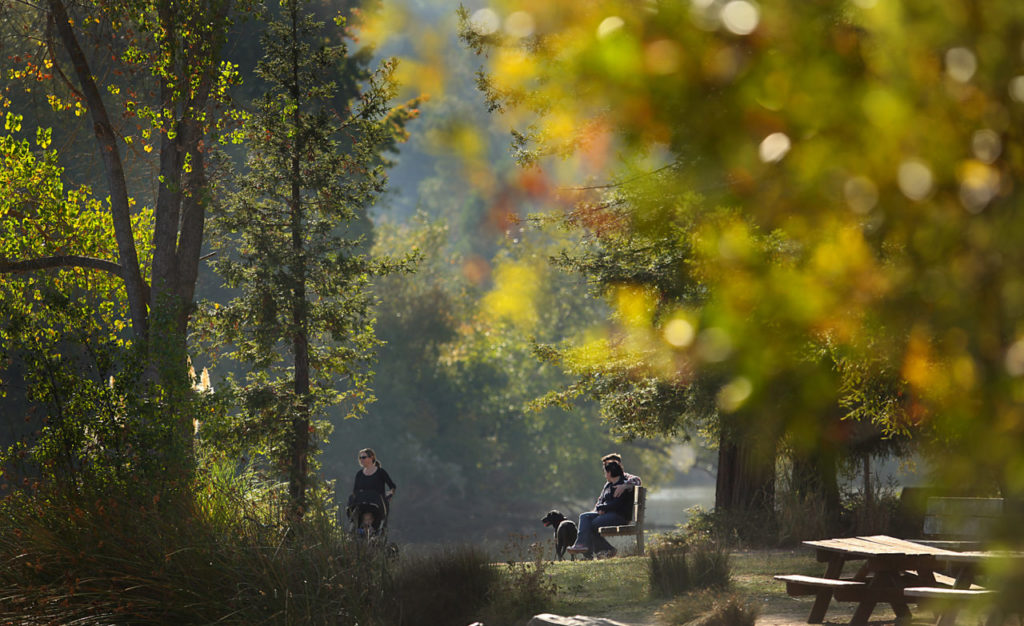 on Saturday, 10 6, 2012. Morning sunlight filters through trees at Spring Lake in Santa Rosa, Saturday Oct. 6, 2012. (Kent Porter / Press Democrat) 2012
