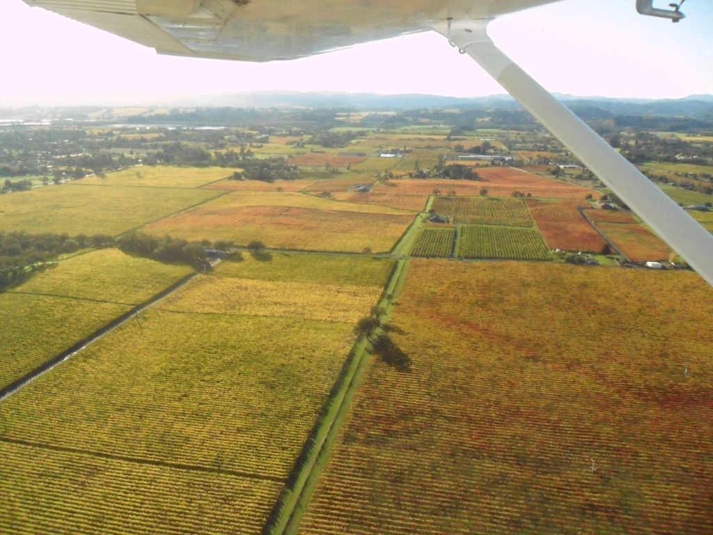 Take in aerial views of wine country and the Sonoma Coast by taking a plane ride with NorthCoast Air. You can even catch a glimpse of a Buddhist monastery from above if you are lucky. (courtesy photo)
