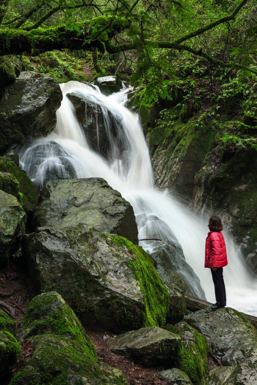 Wander through 25 miles of trails for hiking and horseback riding at Sugarloaf Ridge State Park. There is a self-guided nature trail along Sonoma Creek that starts near the picnic area that ends with a view of 25-foot-tall Sonoma Falls. (Chris Hardy / Press Democrat)