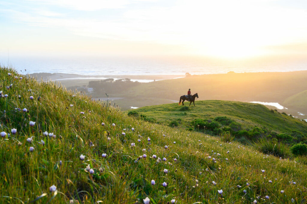 Chanslor Ranch in Bodega Bay