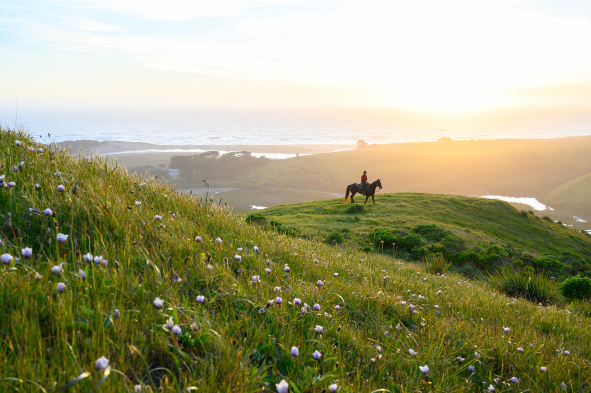 Chanslor Ranch in Bodega Bay