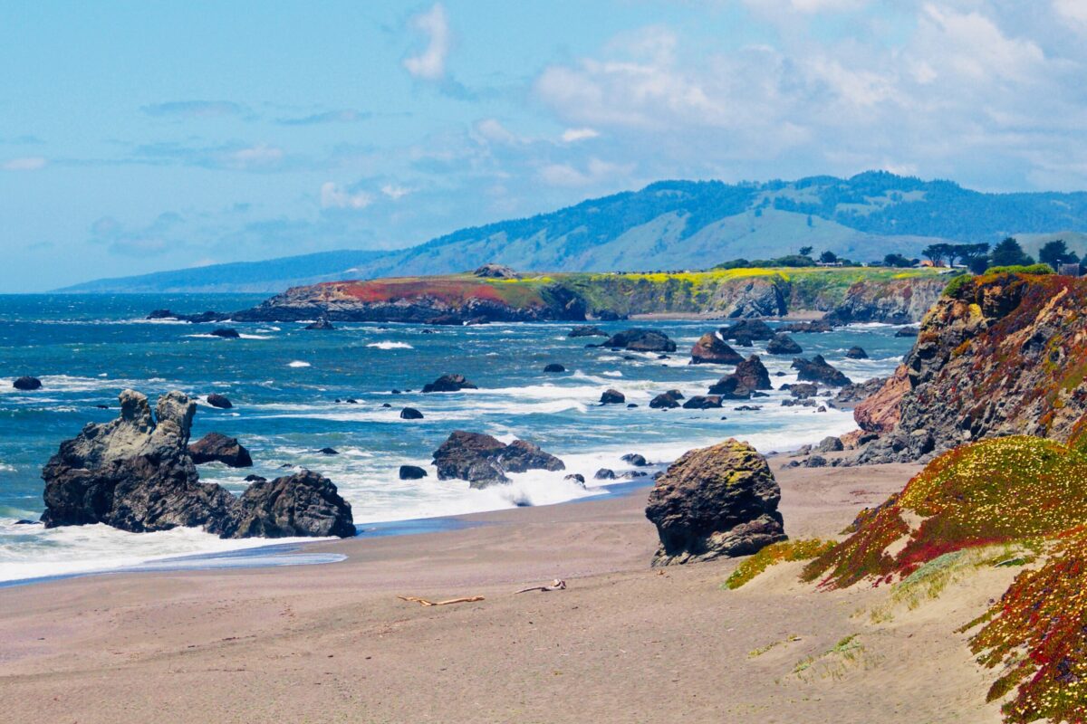Portuguese Beach in Sonoma Coast State Park. (Sonoma County Tourism)