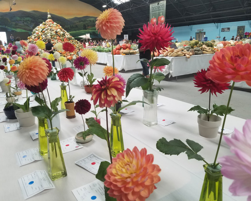 The Sonoma County Fairgrounds hosts the National Heirloom Expo, the world's pure food fair