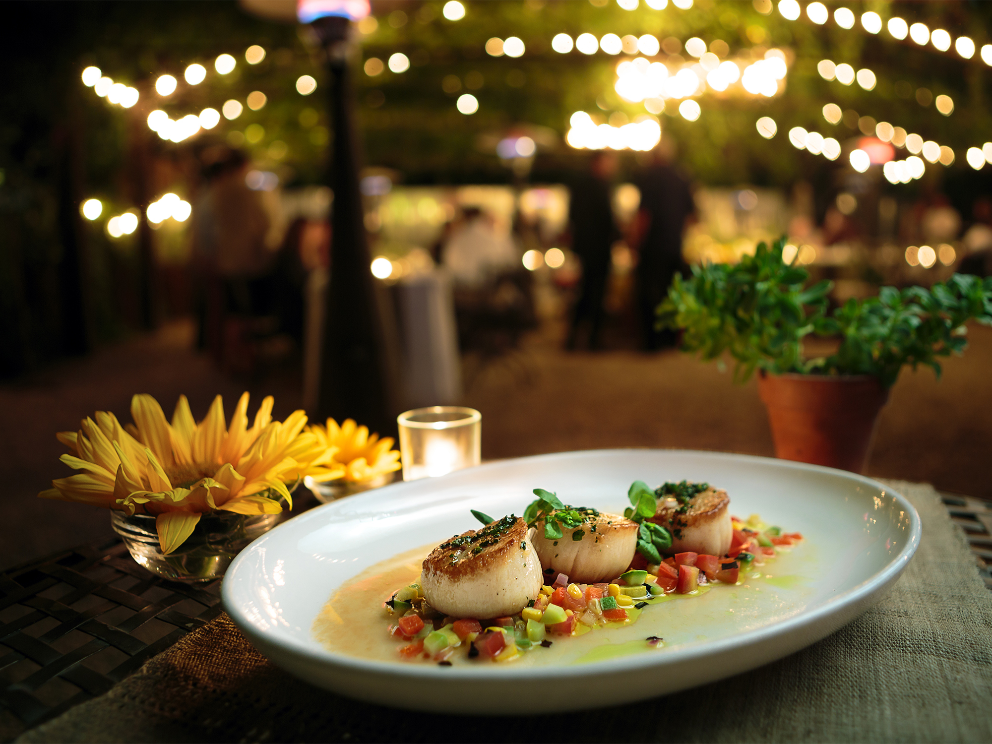 Day boat scallops with summer squash and tomato confit Wedding at Barndiva