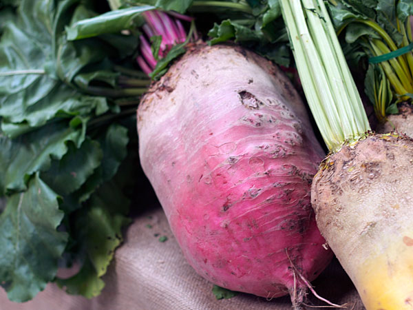 The Sonoma County Fairgrounds hosts the National Heirloom Expo, the world's pure food fair