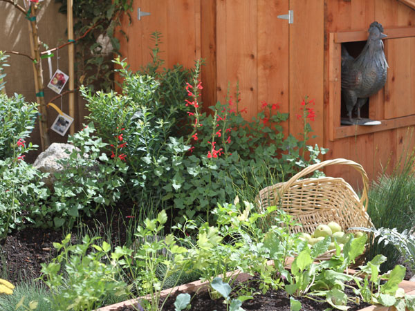 The Sonoma County Fairgrounds hosts the National Heirloom Expo, the world's pure food fair