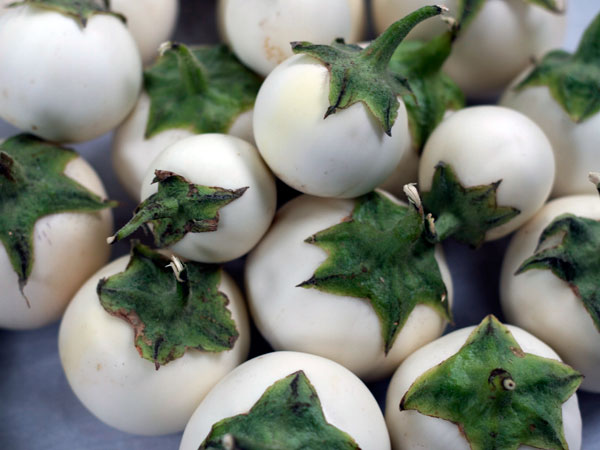 The Sonoma County Fairgrounds hosts the National Heirloom Expo, the world's pure food fair