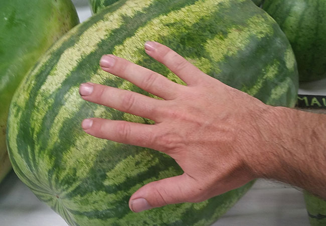 The Sonoma County Fairgrounds hosts the National Heirloom Expo, the world's pure food fair