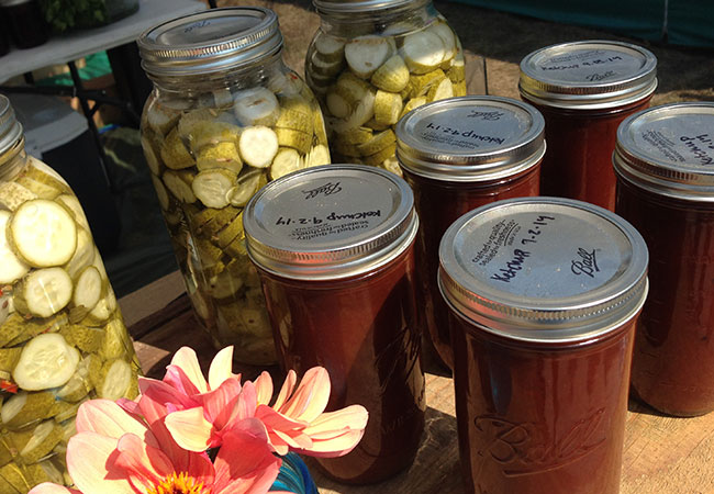 The Sonoma County Fairgrounds hosts the National Heirloom Expo, the world's pure food fair