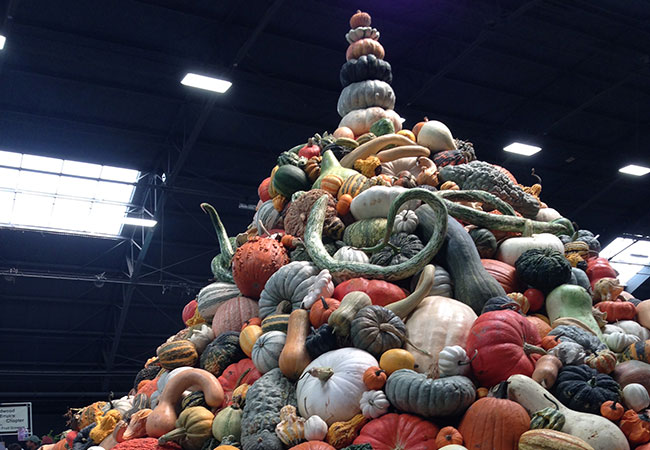The Sonoma County Fairgrounds hosts the National Heirloom Expo, the world's pure food fair