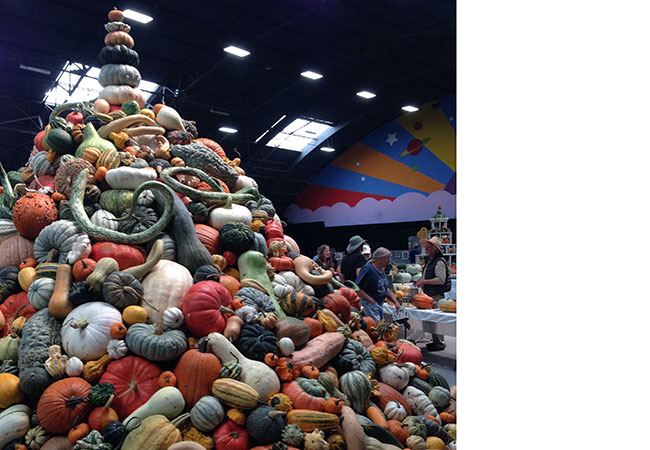 The Sonoma County Fairgrounds hosts the National Heirloom Expo, the world's pure food fair