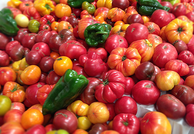 The Sonoma County Fairgrounds hosts the National Heirloom Expo, the world's pure food fair