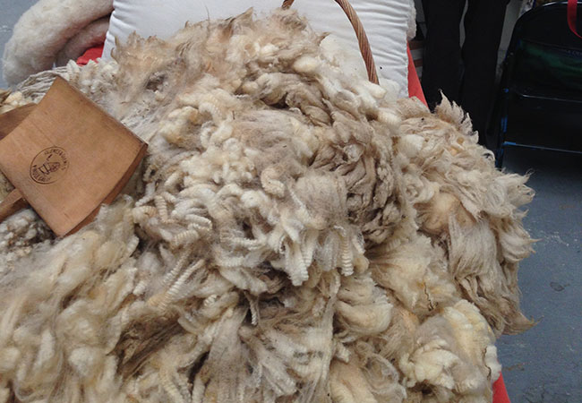 The Sonoma County Fairgrounds hosts the National Heirloom Expo, the world's pure food fair