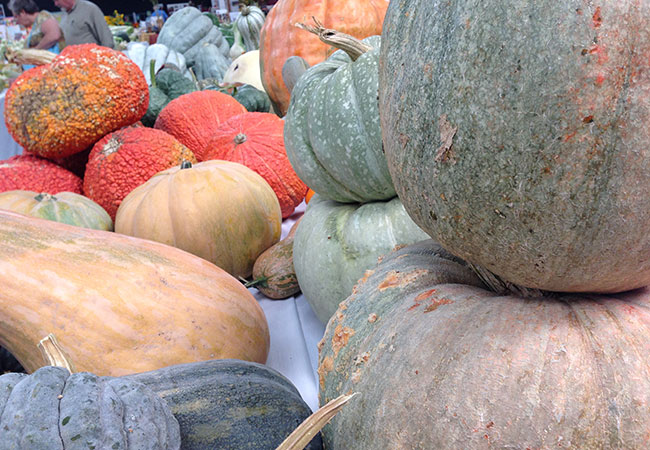 The Sonoma County Fairgrounds hosts the National Heirloom Expo, the world's pure food fair