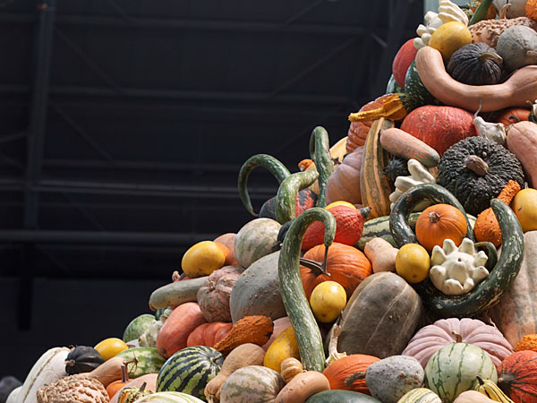 The Sonoma County Fairgrounds hosts the National Heirloom Expo, the world's pure food fair