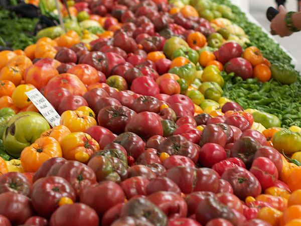 The Sonoma County Fairgrounds hosts the National Heirloom Expo, the world's pure food fair