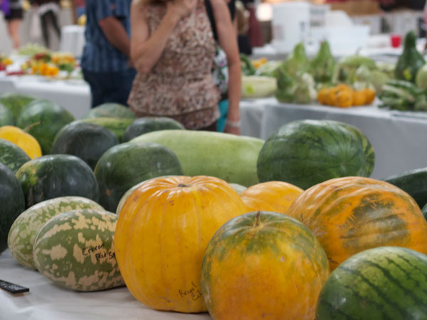 The Sonoma County Fairgrounds hosts the National Heirloom Expo, the world's pure food fair