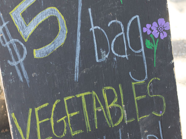 The Sonoma County Fairgrounds hosts the National Heirloom Expo, the world's pure food fair