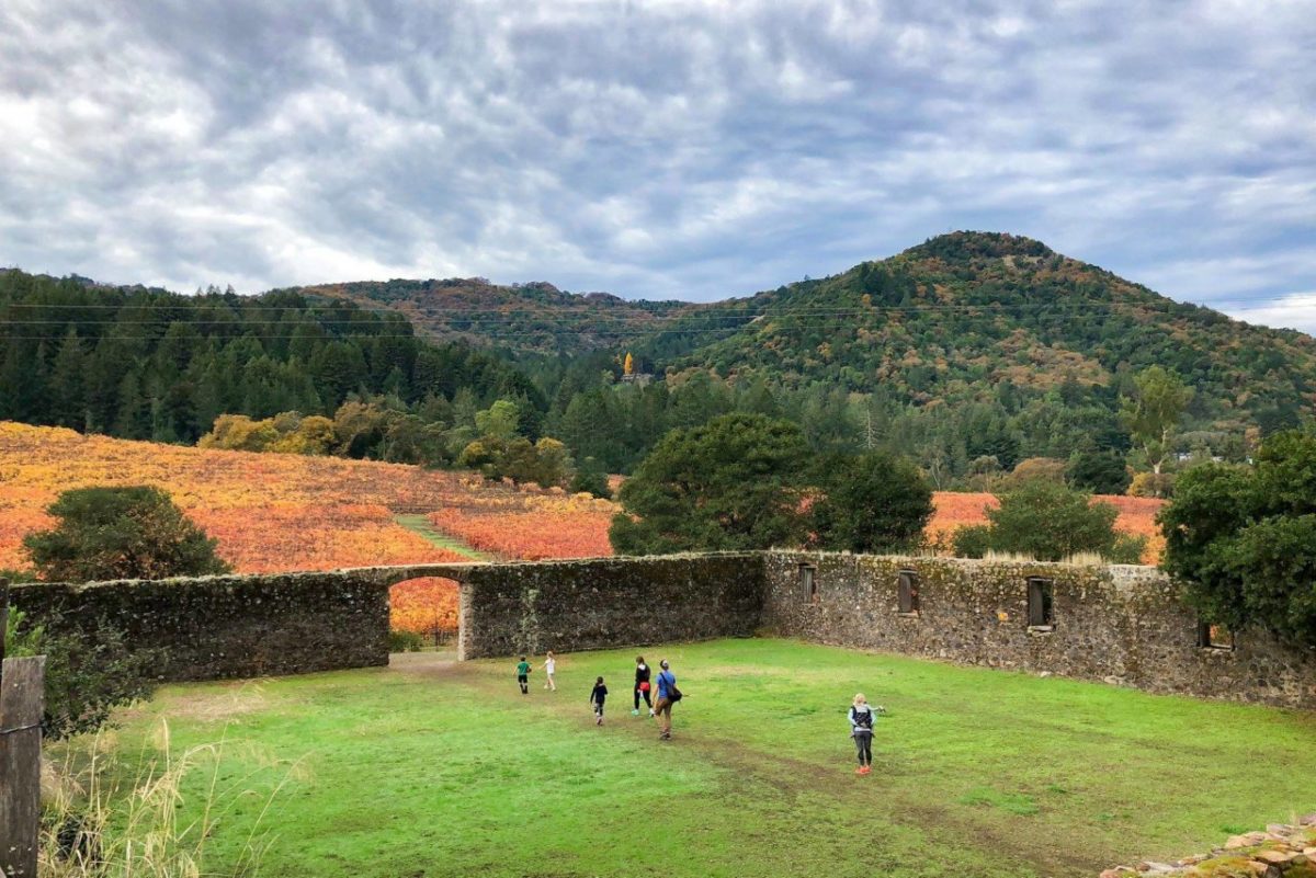 At Jack London State Historic Park in Glen Ellen. (Jack London State Historic Park)