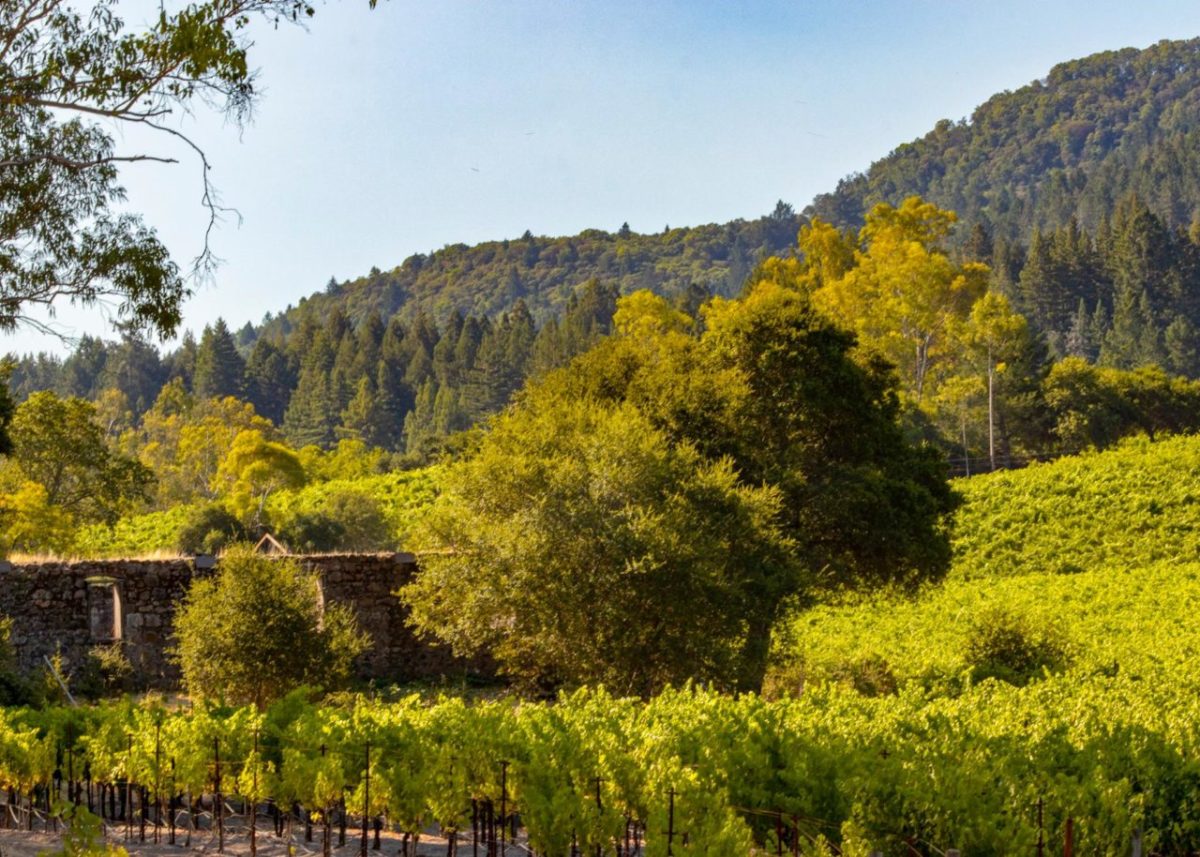 At Jack London State Historic Park in Glen Ellen. (Jack London State Historic Park)