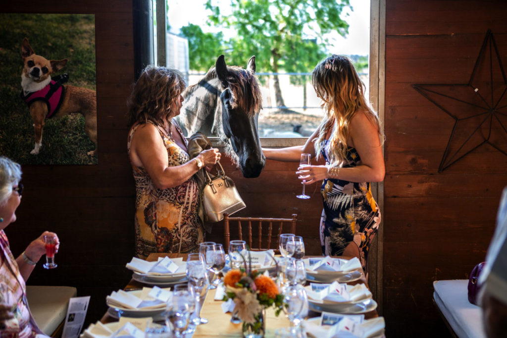 Paws for a Cause party, for party barn story Lori Miron and her daughter Amanda enjoy some time with Irma the horse.