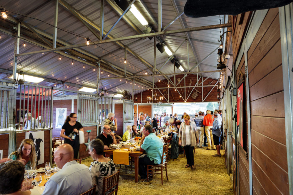 Paws for a Cause party, for party barn story