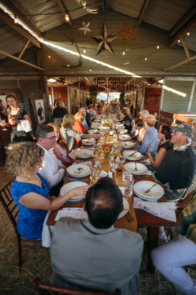 Paws for a Cause party, for party barn story