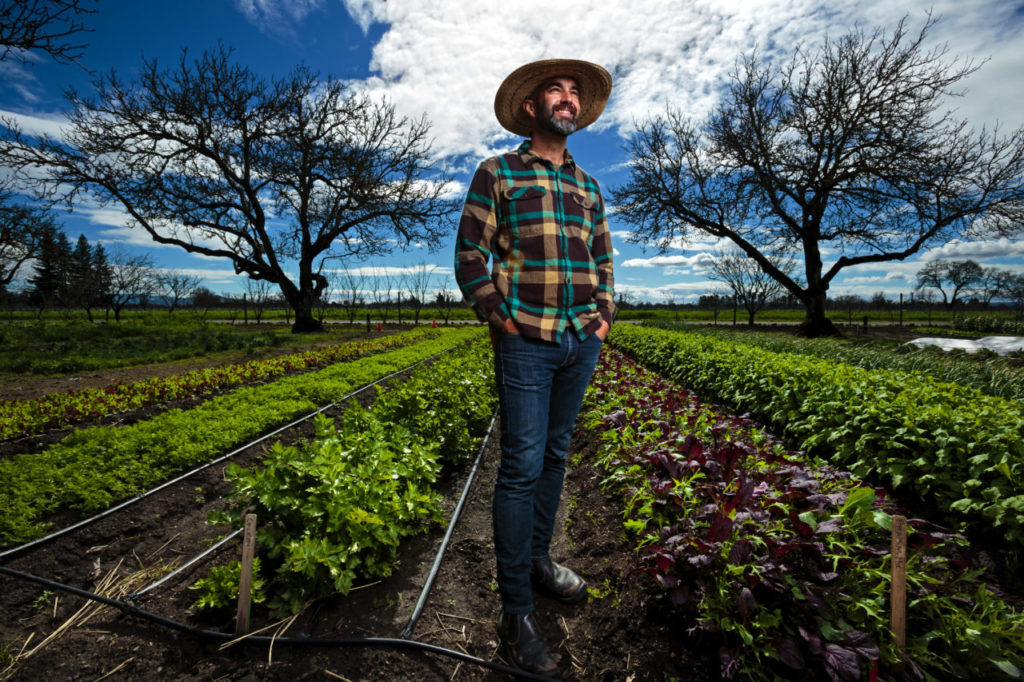 Tucker Taylor and vegetable garden at Kendall-Jackson vineyardTucker Taylor Director of Culinary Gardens and vegetable garden at Kendall-Jackson vineyard