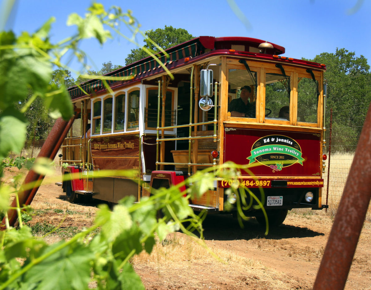 6/3/2012: D1: PC: Sonoma Wine Trolley makes its way through the Clarbec vineyard, May 23, 2012.