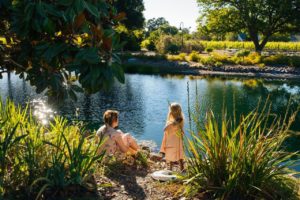 Landmark Vineyards has created a family-friendly environment at their Kenwood estate. (Landmark Vineyards)