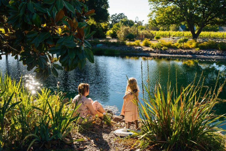 Landmark Vineyards has created a family-friendly environment at their Kenwood estate. (Landmark Vineyards)