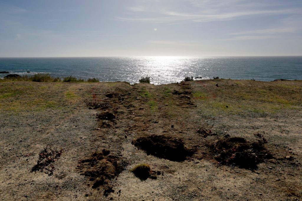Tracks lead away from the edge of the cliff where the SUV of Jennifer Jean Hart and Sarah Margaret Hart was recovered off Highway 1 near Westport, California, on Wednesday, March 28, 2018. The bodies of the two women and three of their adopted children were recovered from the vehicle, while three more of their children, Devonte Hart, 15, Hannah Hart, 16, and Sierra Hart, 12, are still missing. (Alvin Jornada / The Press Democrat)