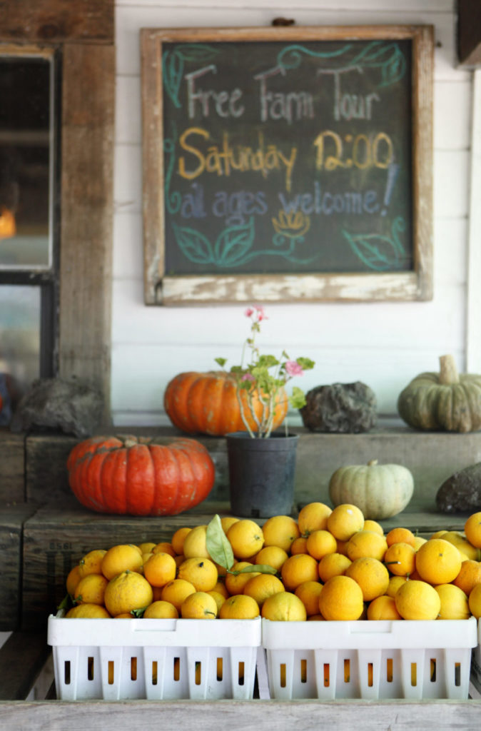A variety of produce including oranges and pumpkins are for sale in the store at Green String Farm in Petaluma, California, on Wednesday, May 23, 2012. (BETH SCHLANKER/ The Press Democrat)