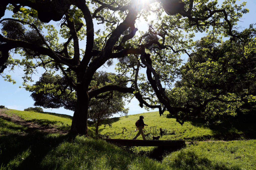 20 Favorite Hikes in Sonoma County