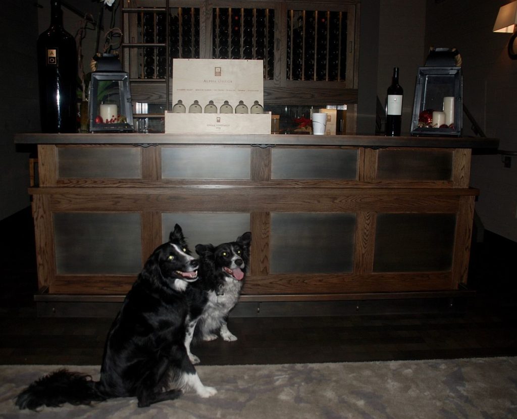 Winery dogs at Alpha Omega