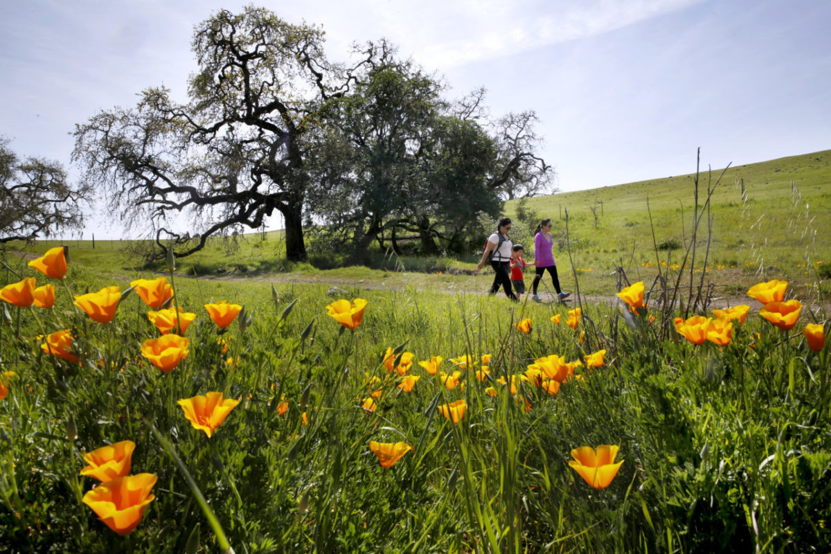 Niki Onizuka, left, her son Colton Borges, 4, and her friend Julie Nguyen hike together at Crane Creek Regional Park on Monday, March 23, 2015 in Rohnert Park, California . (BETH SCHLANKER/ The Press Democrat)