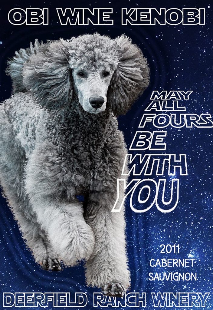 May All Fours Be With You Wine Label